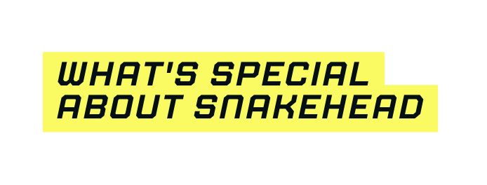 What s special about Snakehead